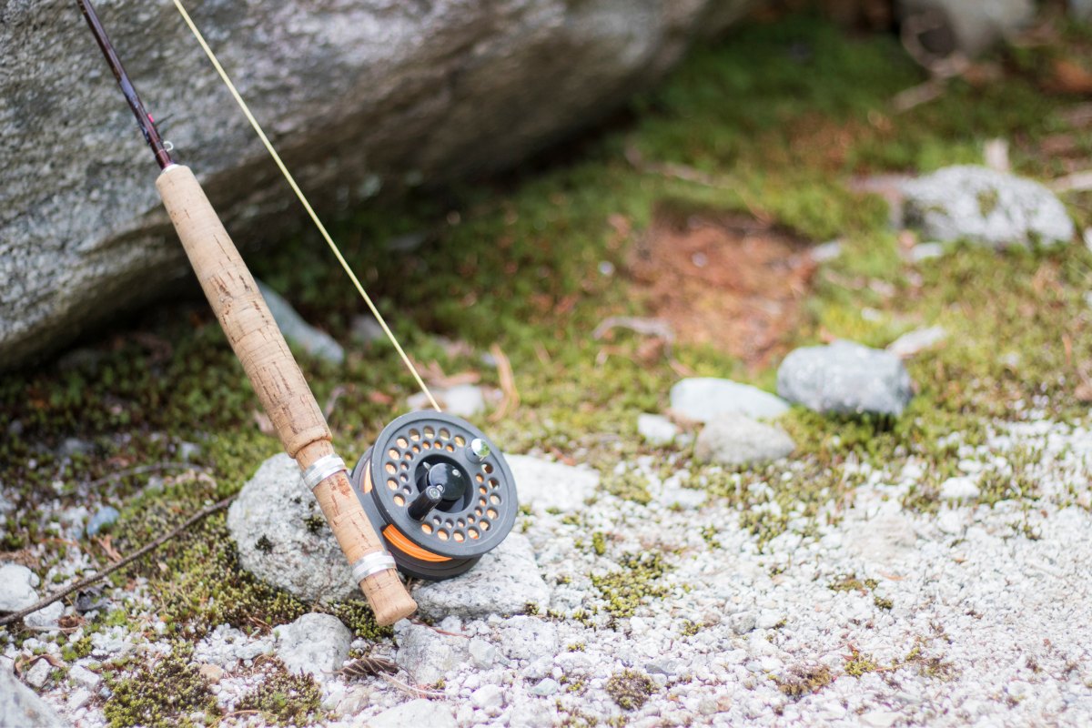 Choose A Fly Rod