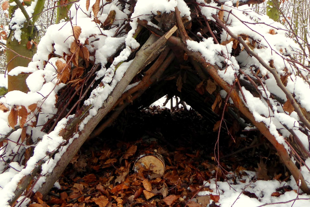 Survival Shelters