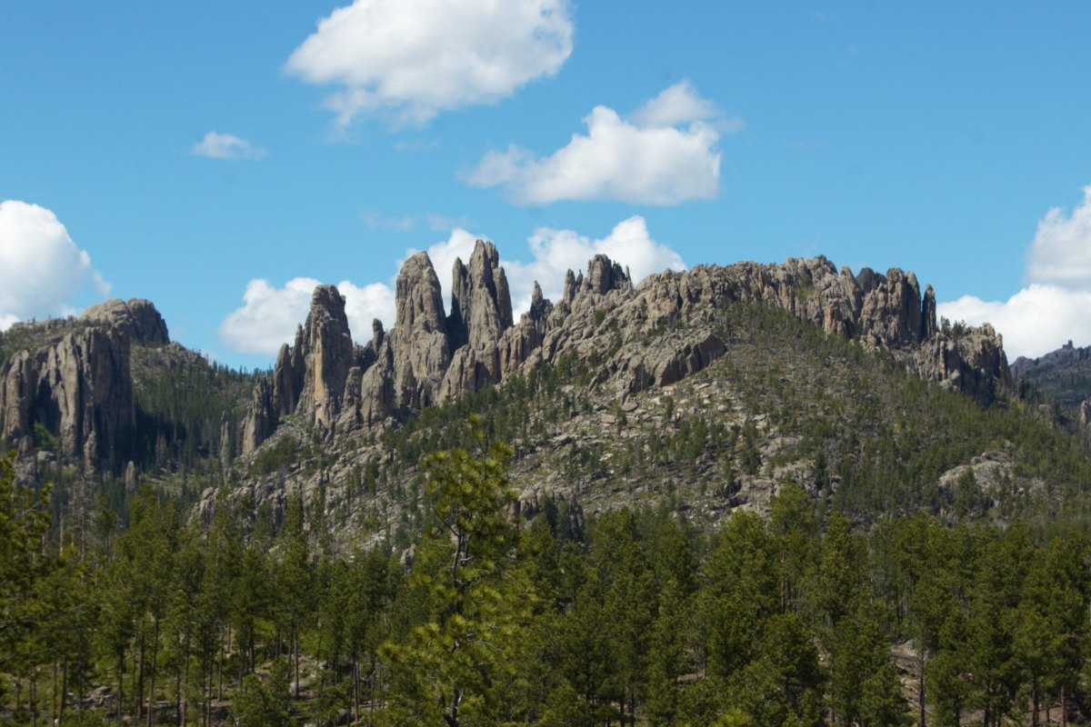 Custer State Park Mountain