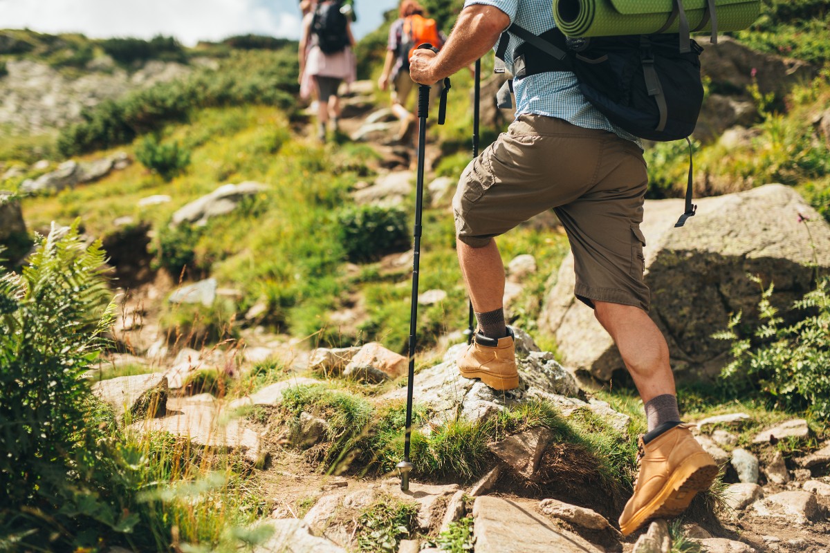 Beginners Gear For Day Hike