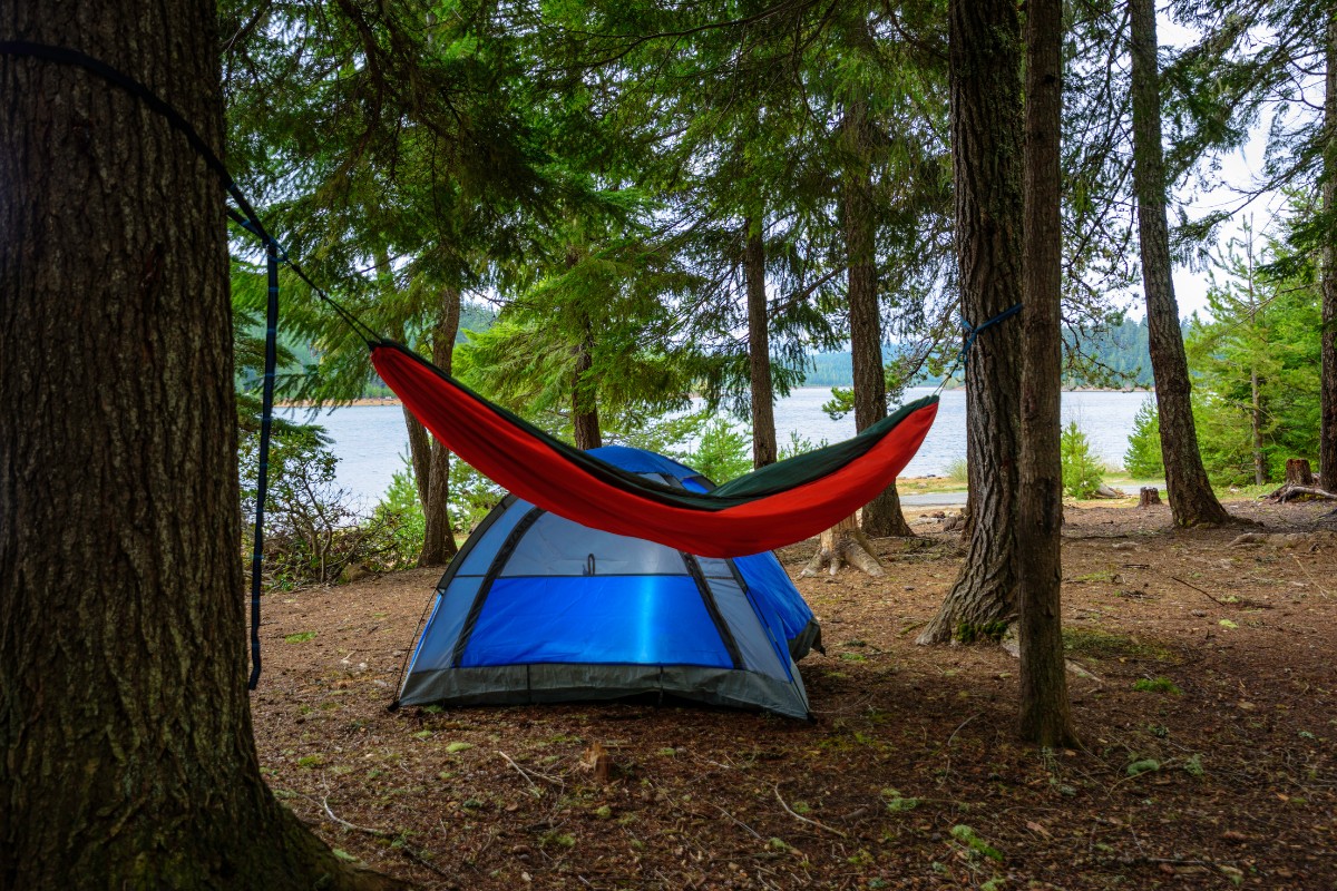 Single Vs Double Layer Hammocks